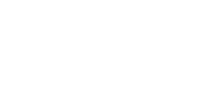 Raven51
