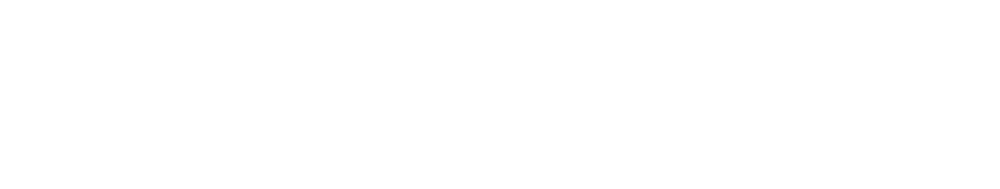 VIVAVIS
